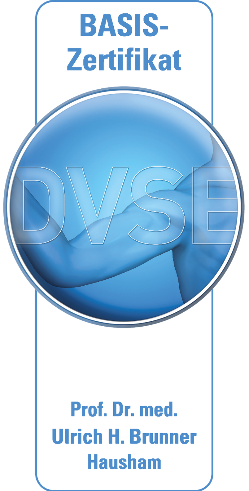 Das DVSE Zertifikat 2024 von Prof. Dr. med. Ulrich H. Brunner.