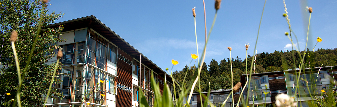 Die Blumenwiese vor dem Krankenhaus Agatharied.