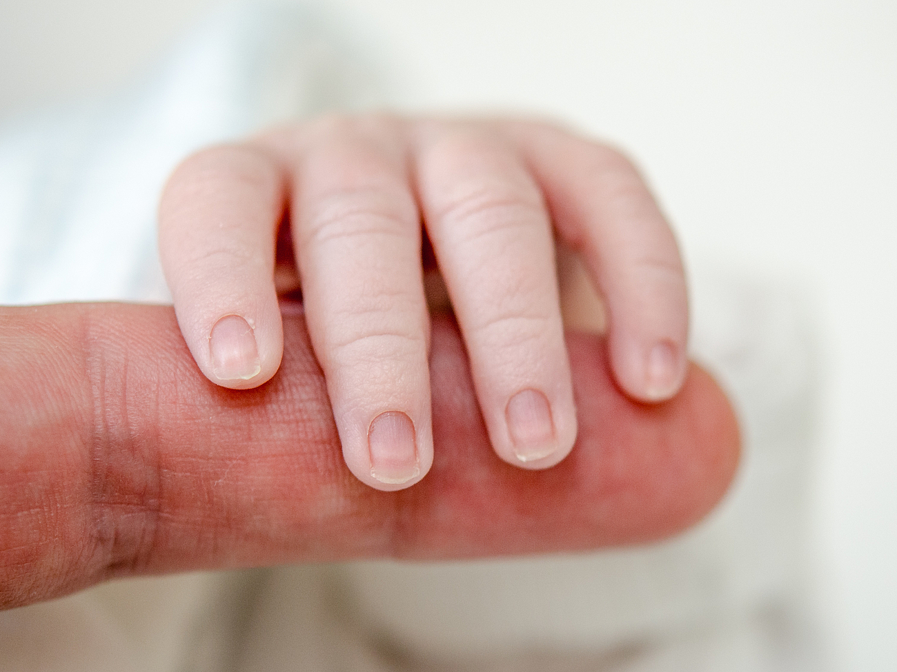 Hand eines Neugeborenen umschließt Finger einer erwachsenen Person