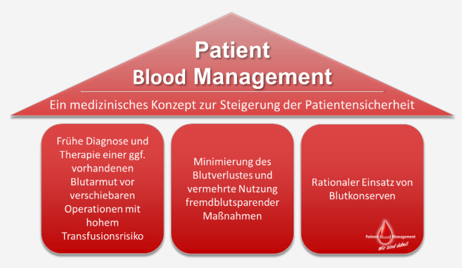 Die 3 Säulen des Patient Blood Management Schaubild 3-Säulenkonzept des Patient Blood Management