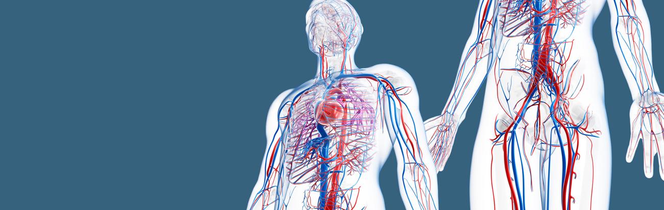 Viszeral-, Gefäß- und Endokrine-Chirurgie