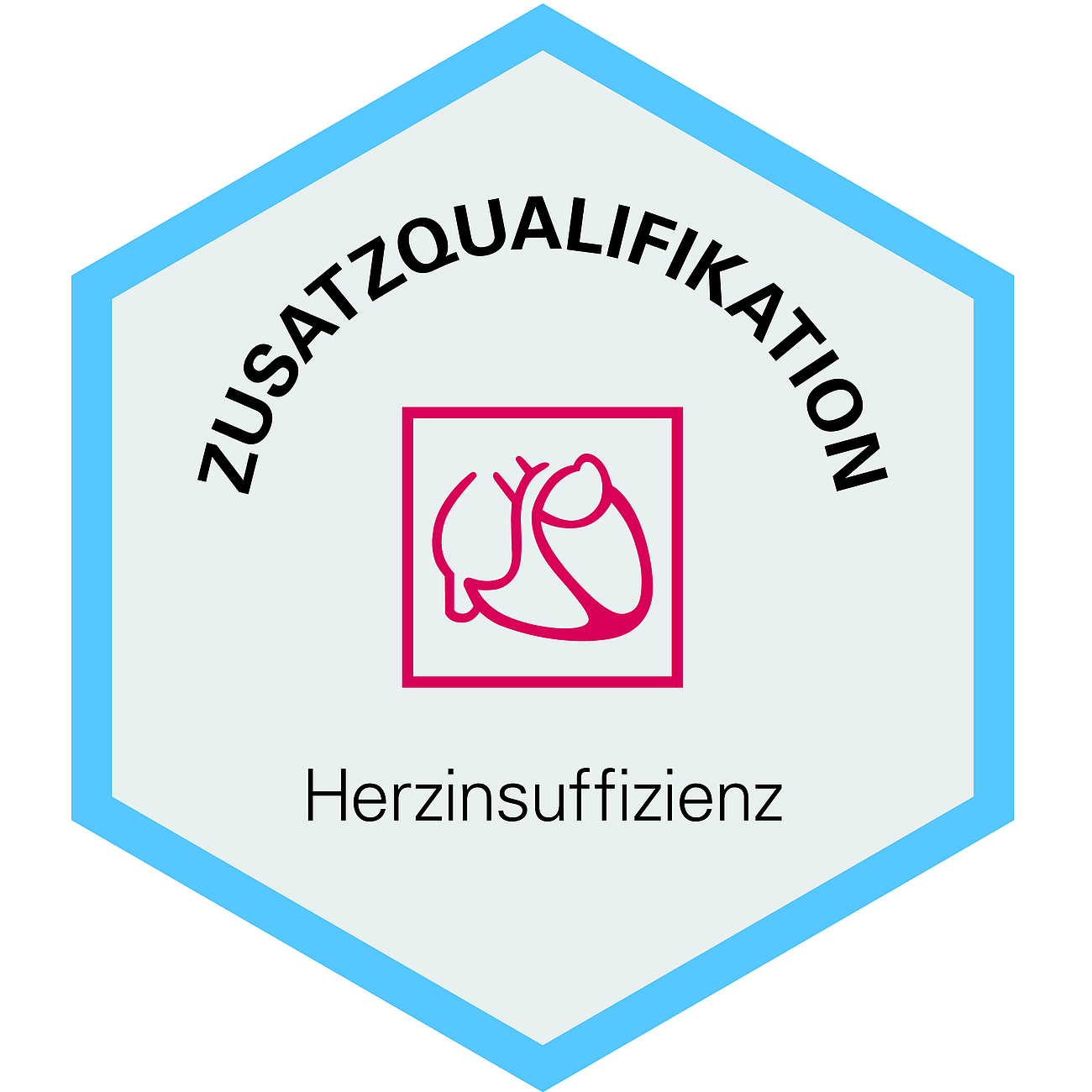 Die Zusatzqualifikation Herzinsuffizienz.