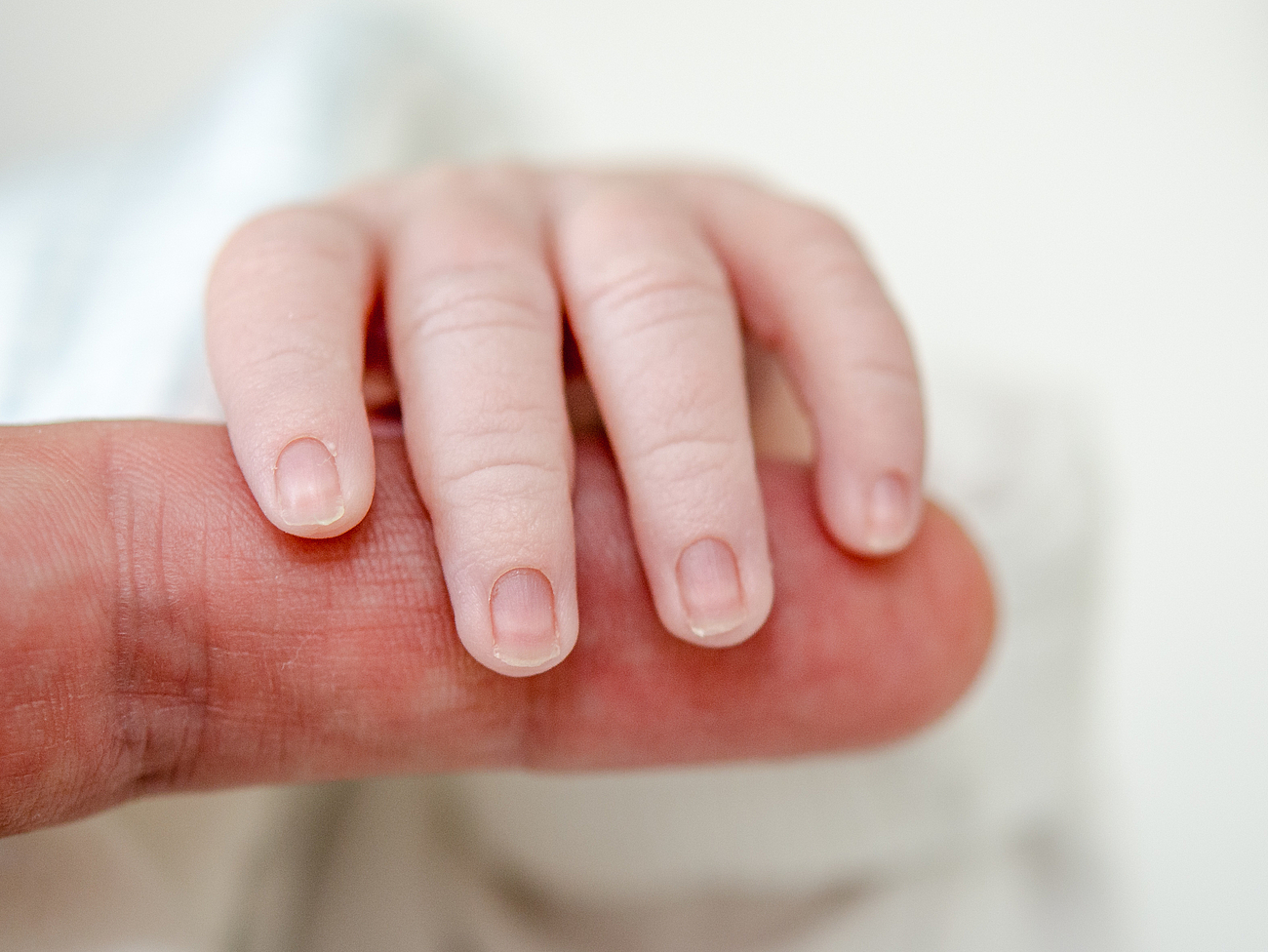 Perinatalmedizin Hand eines Neugeborenen umschließt Finger eines Erwachsenen